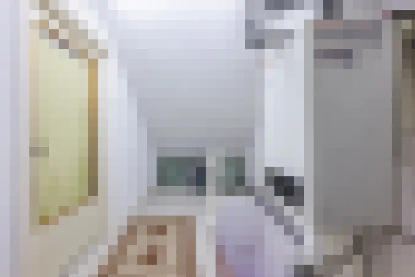 Willem Knaapenstraat 17 Geldrop thumbnail 24