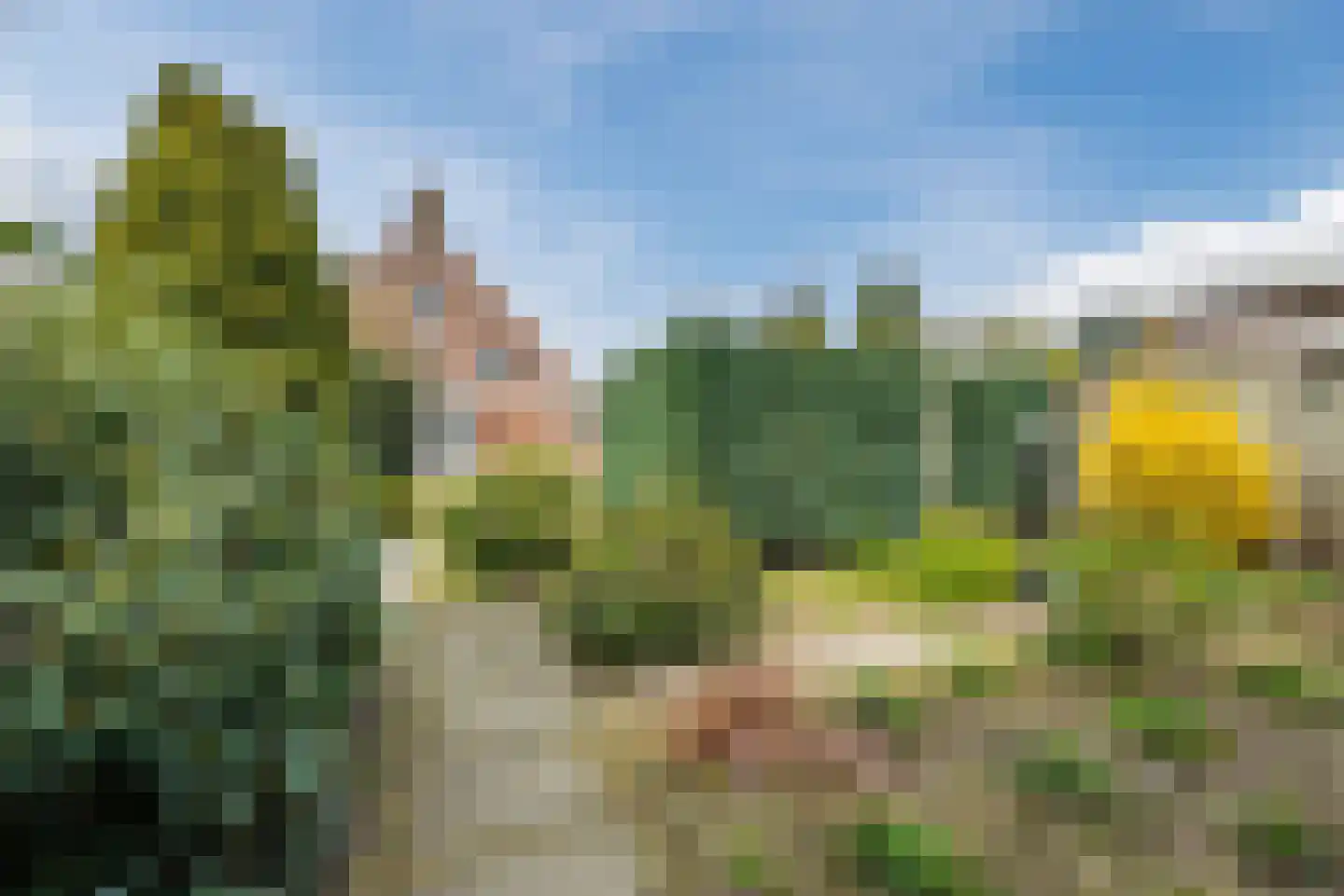 Willem Knaapenstraat 17 Geldrop thumbnail 29