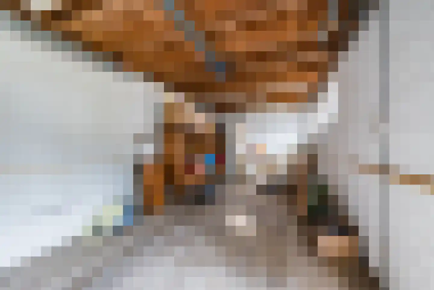 Willem Knaapenstraat 17 Geldrop thumbnail 31