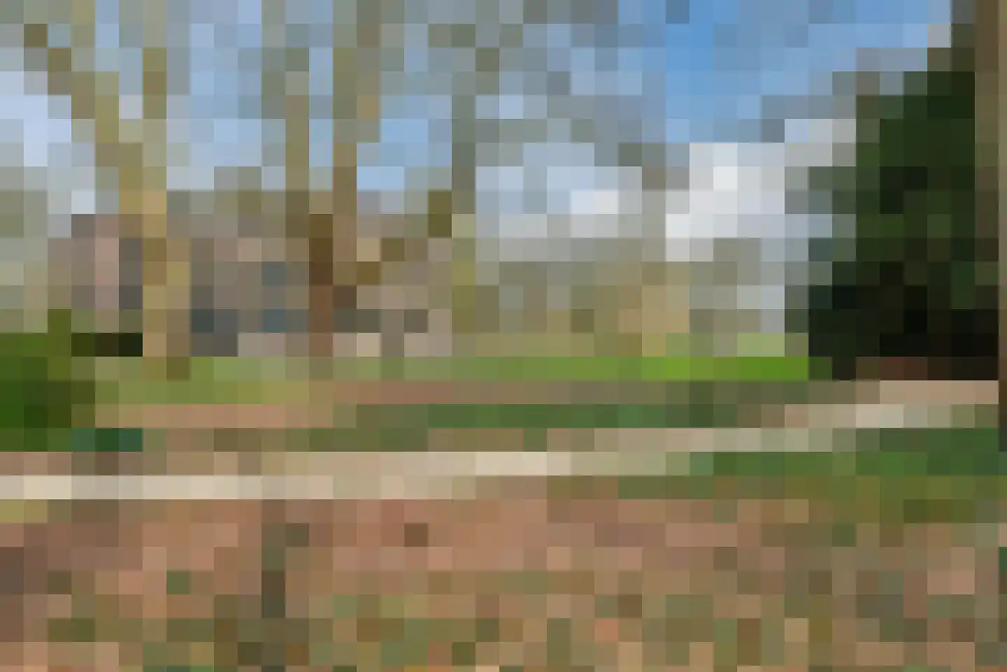Willem Knaapenstraat 17 Geldrop thumbnail 34