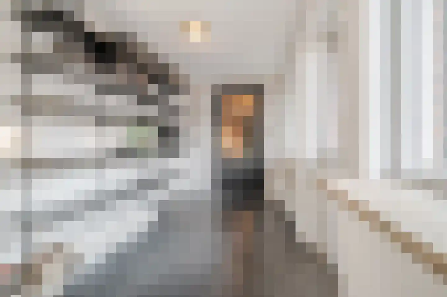 Willem Knaapenstraat 23 Geldrop thumbnail 17