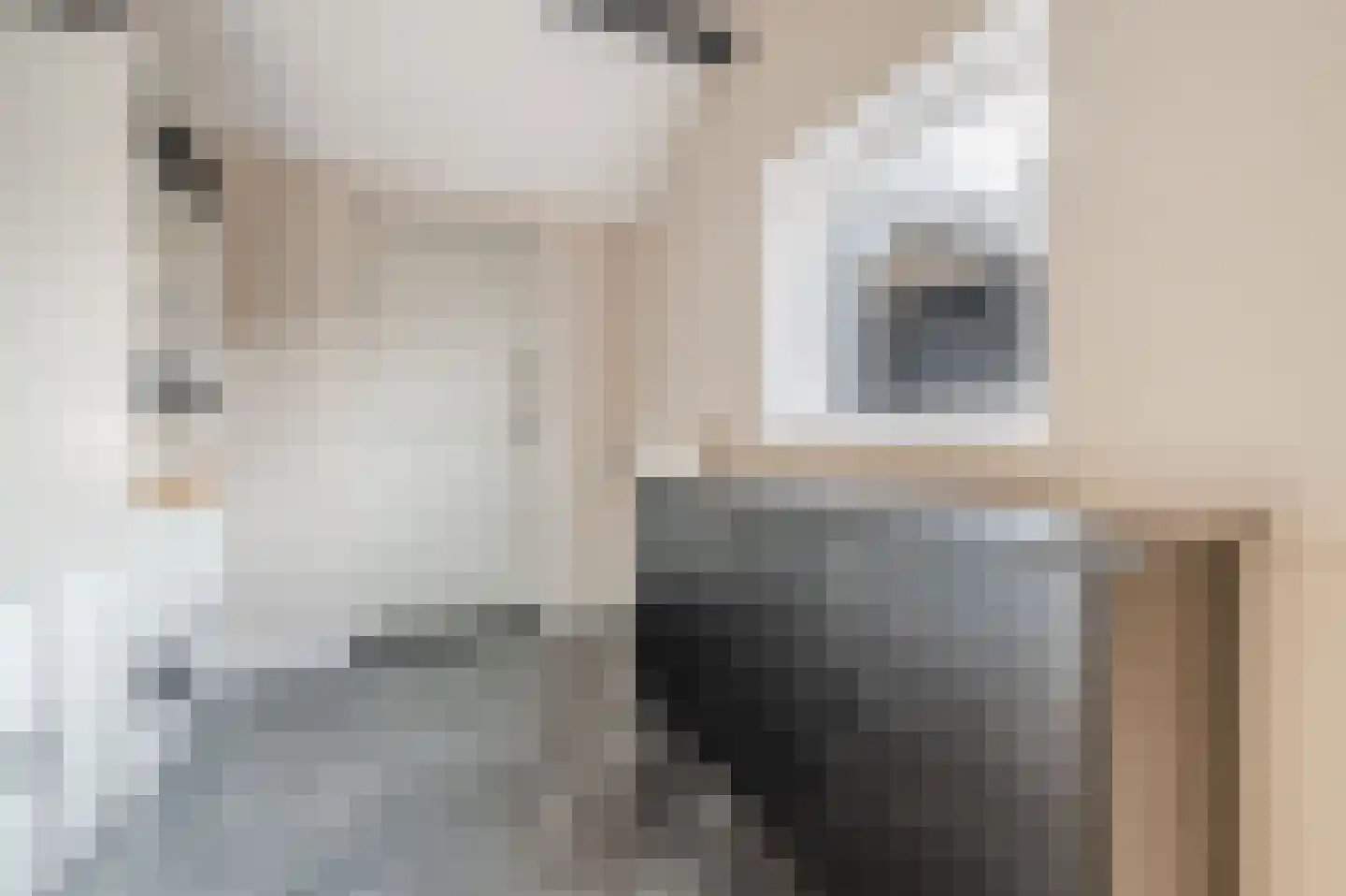 Willem Knaapenstraat 23 Geldrop thumbnail 19
