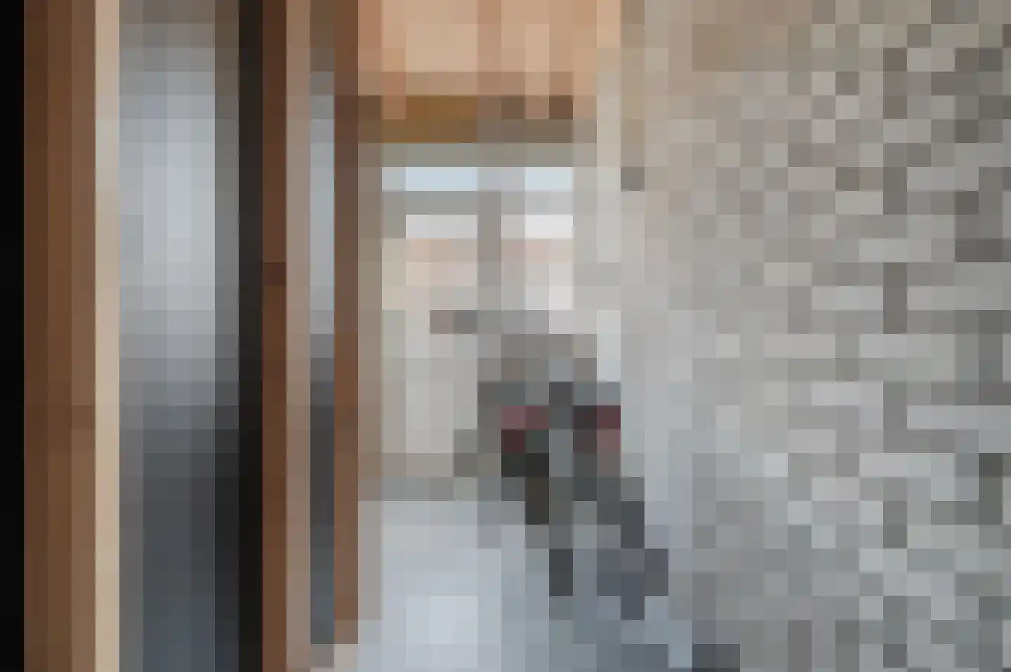 Willem Knaapenstraat 23 Geldrop thumbnail 29