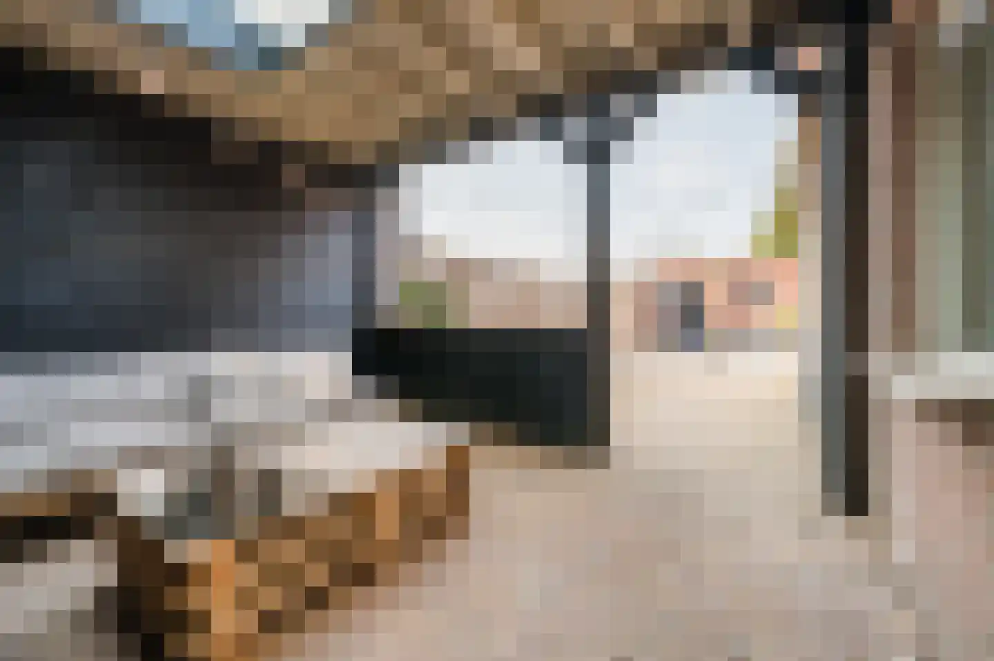Willem Knaapenstraat 23 Geldrop thumbnail 30