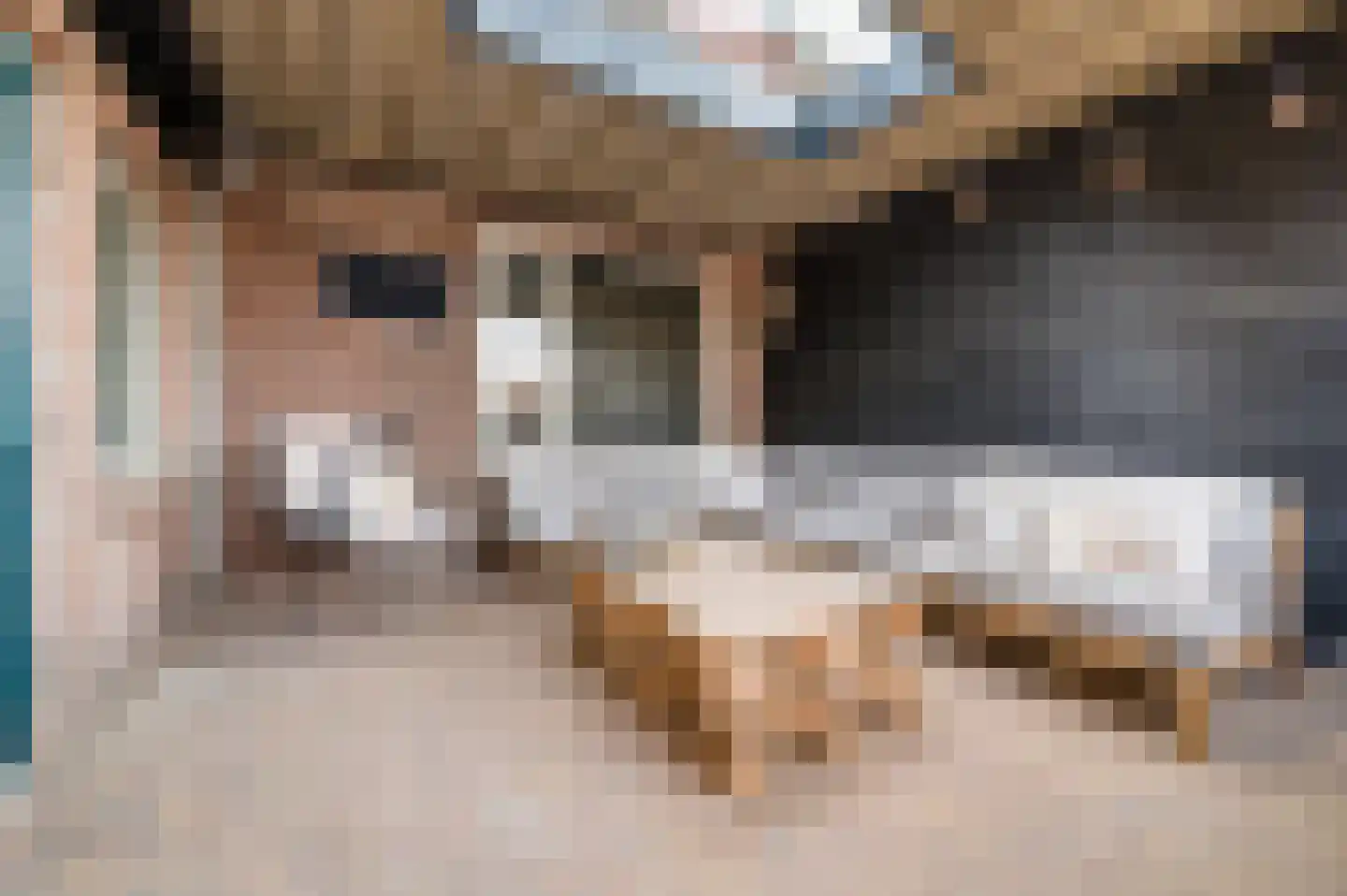 Willem Knaapenstraat 23 Geldrop thumbnail 31