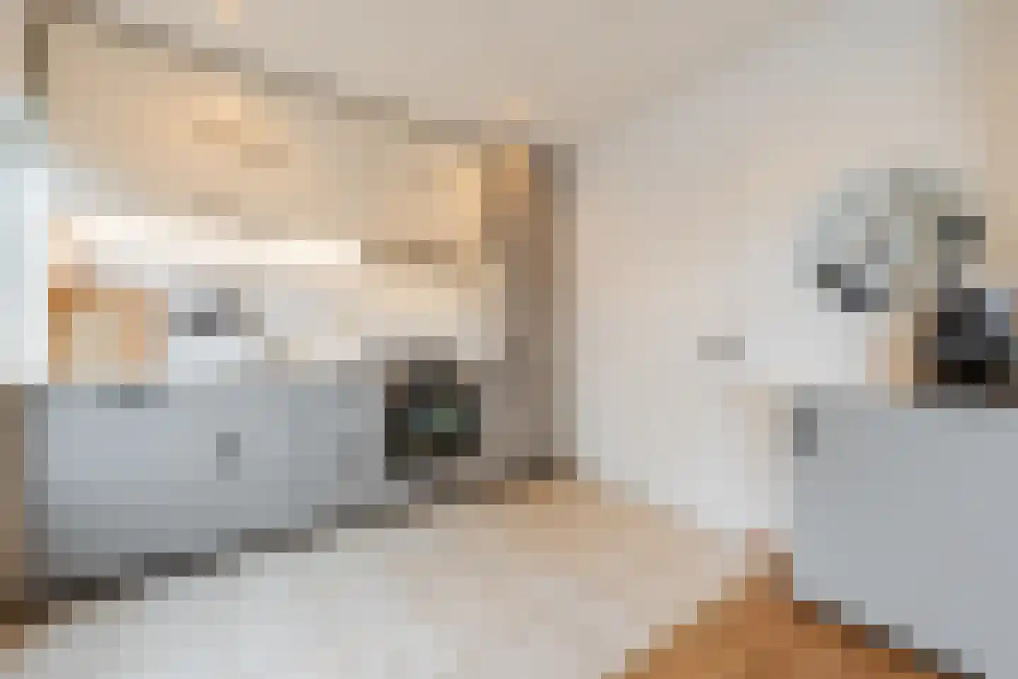 Willem Knaapenstraat 61 Geldrop thumbnail 12