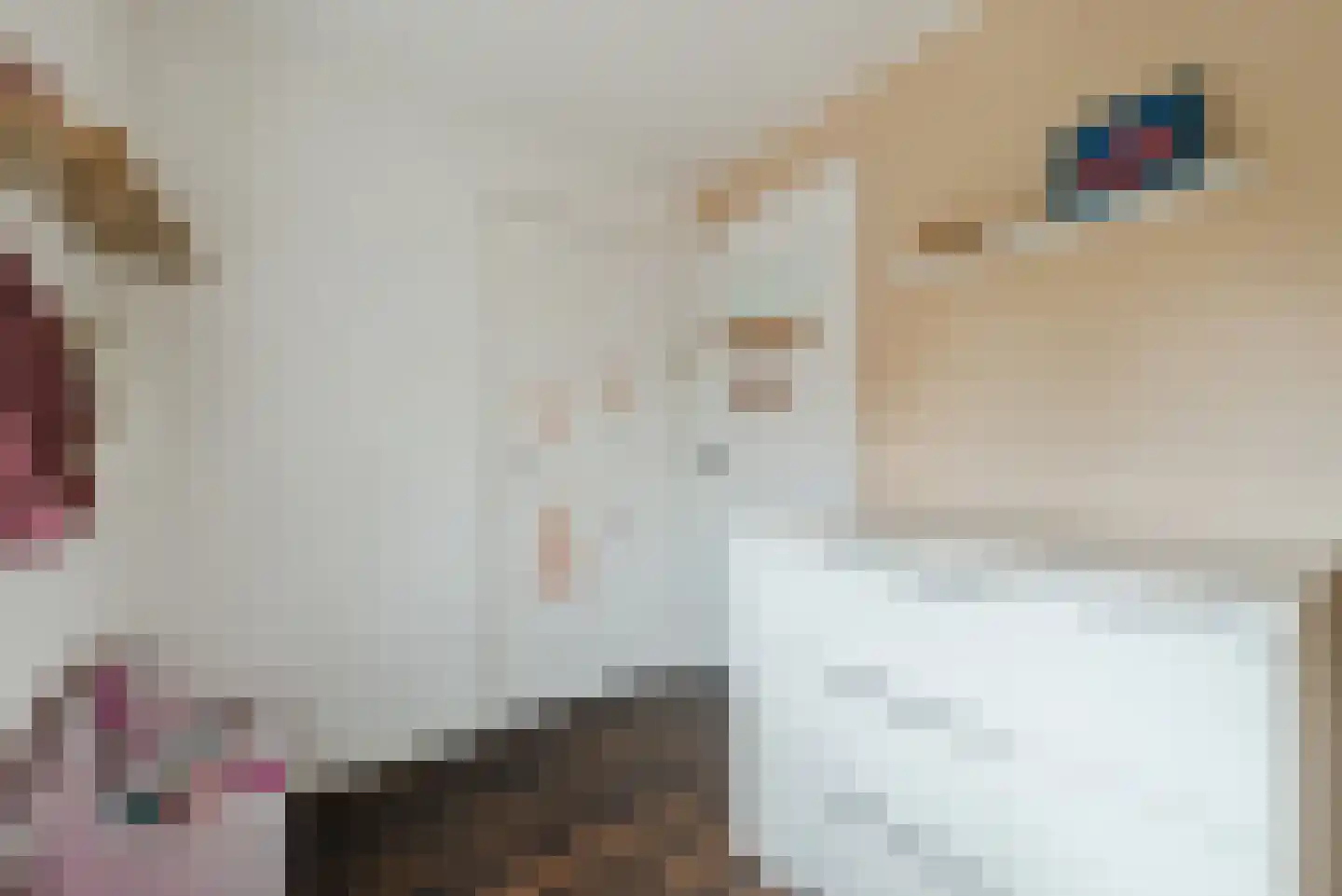 Willem Knaapenstraat 61 Geldrop thumbnail 19