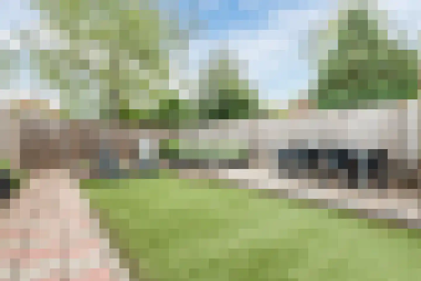 Willem Knaapenstraat 61 Geldrop thumbnail 24