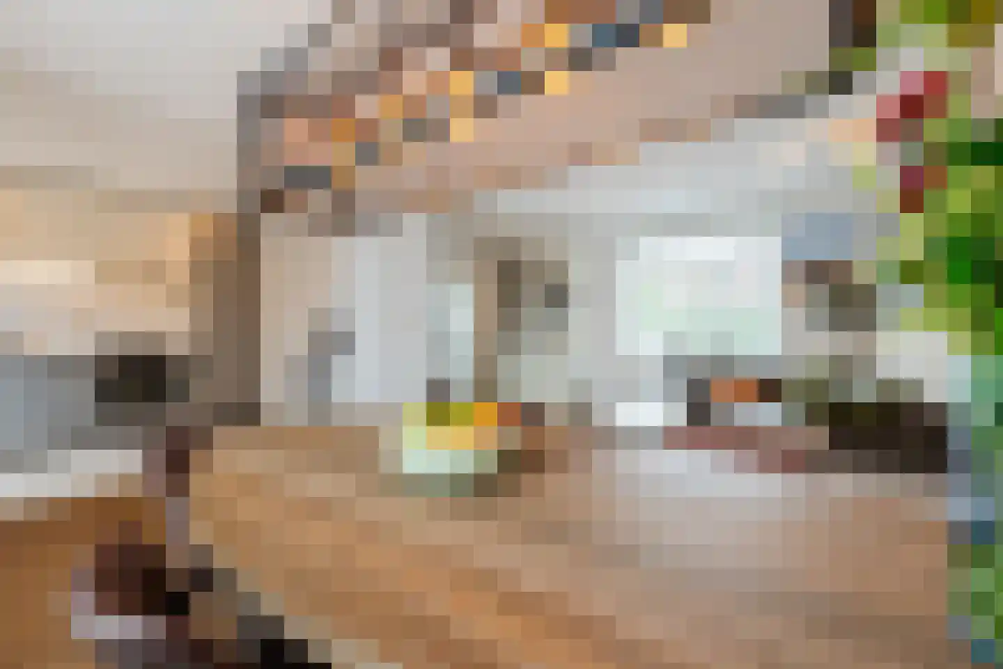 Willem Knaapenstraat 61 Geldrop thumbnail 9