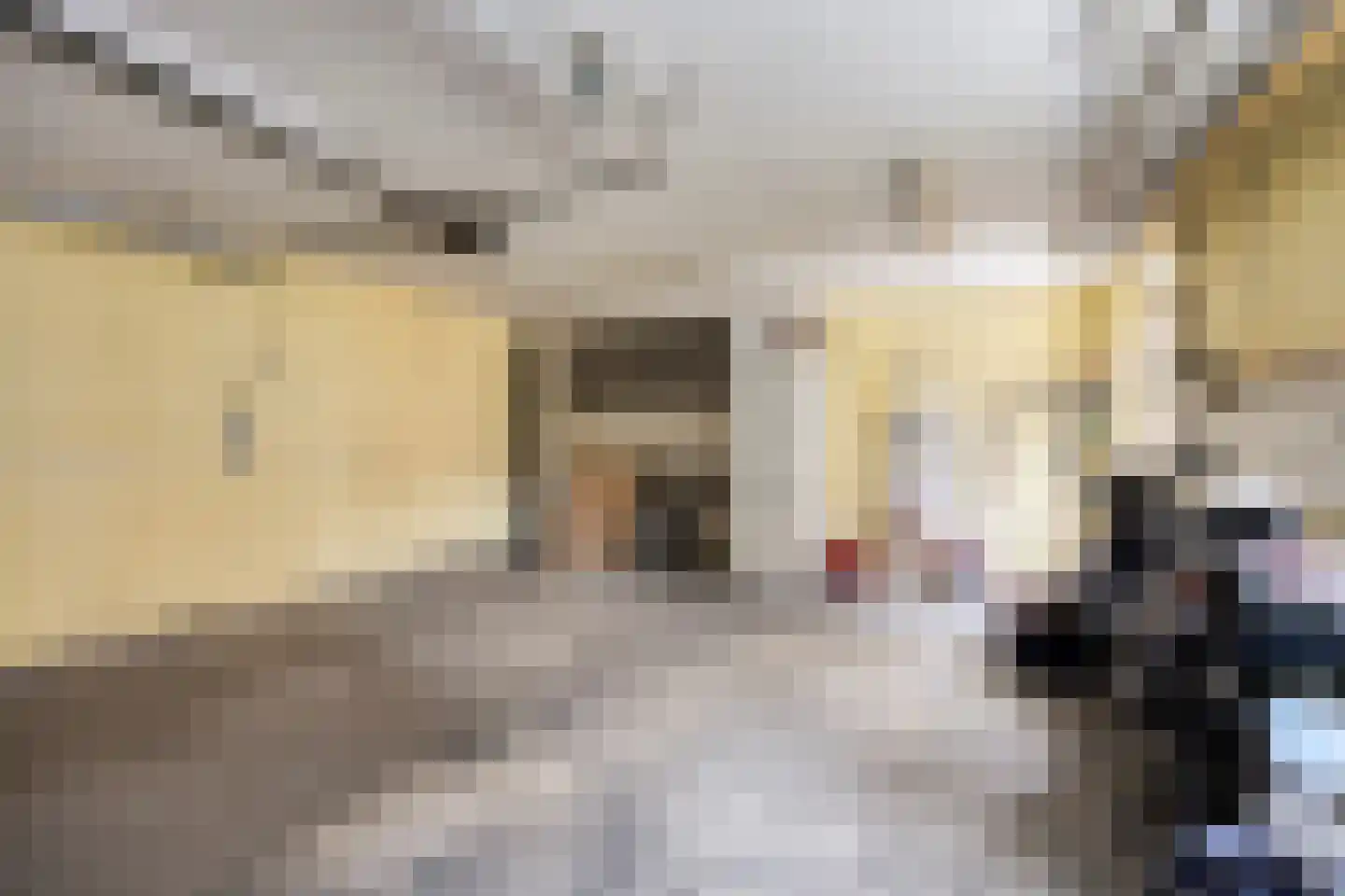 Willem Knuttelstraat 26 Tilburg thumbnail 21