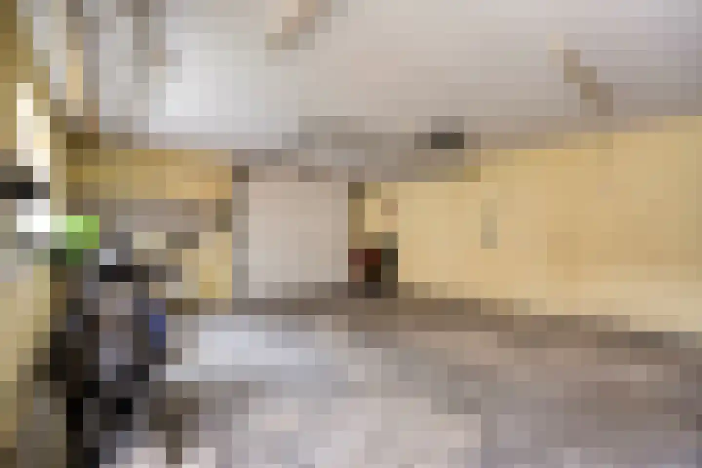 Willem Knuttelstraat 26 Tilburg thumbnail 6