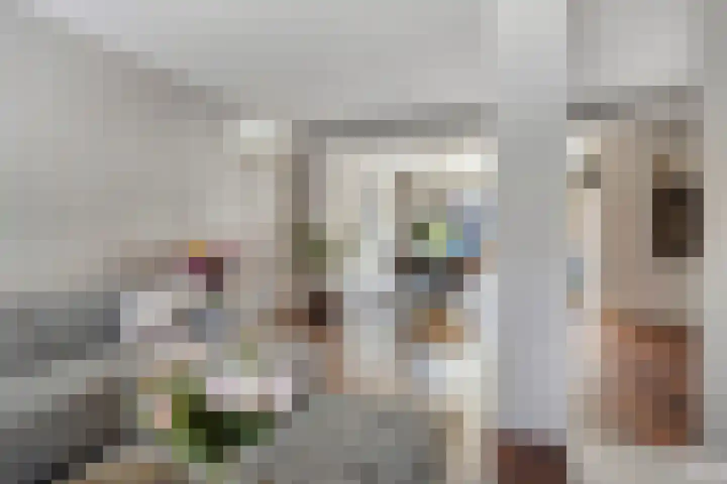 Willem Knuttelstraat 30 Tilburg thumbnail 5