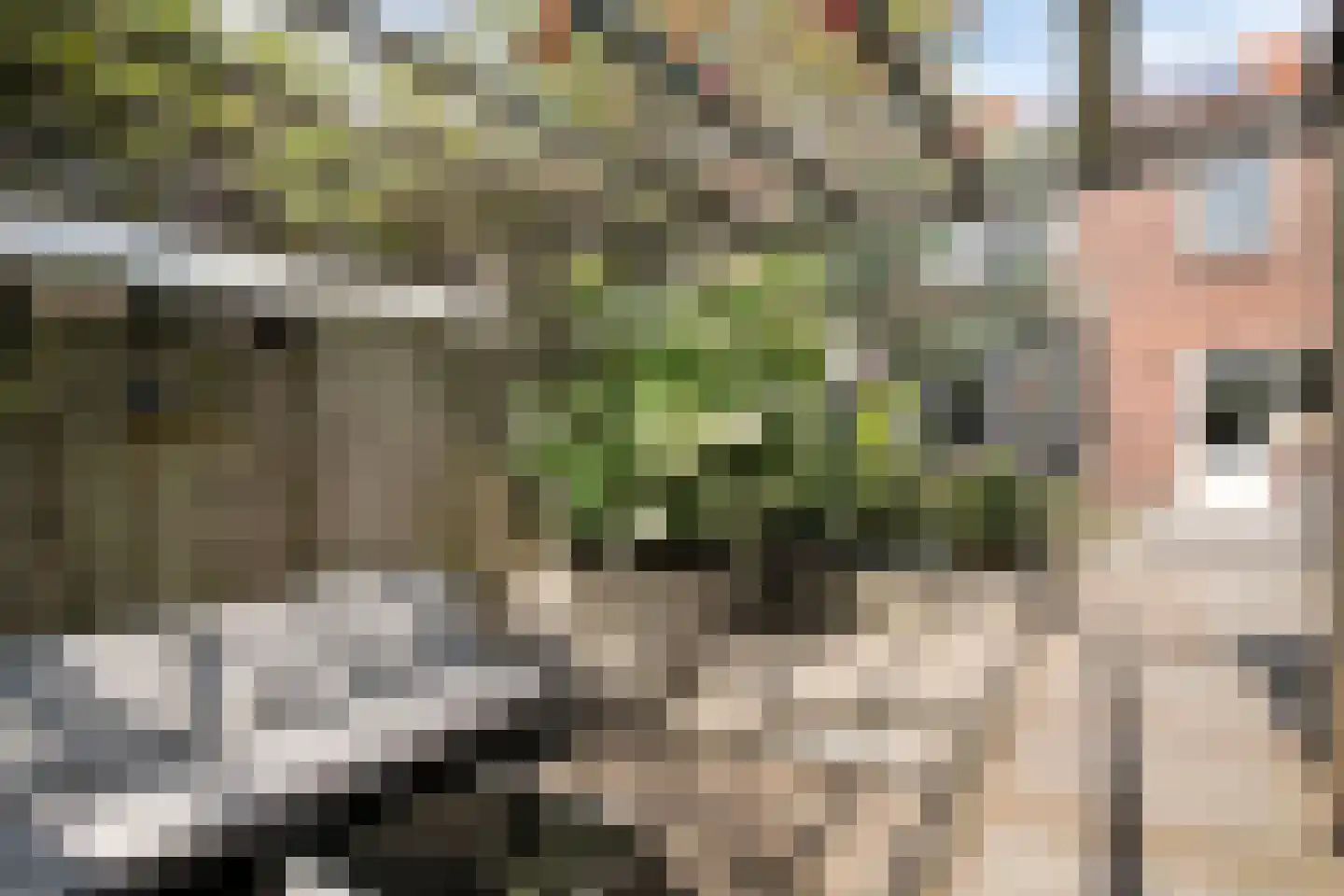 Willem Knuttelstraat 41 Tilburg thumbnail 30