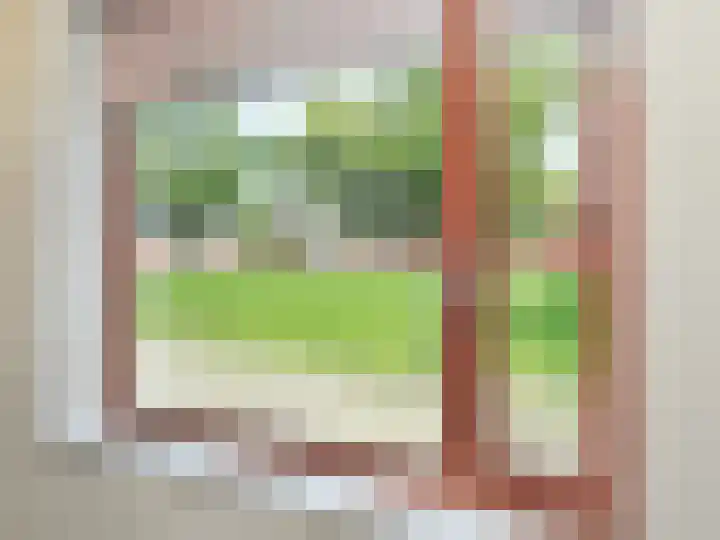 Willem Kolffplantsoen 17 Haarlem thumbnail 12