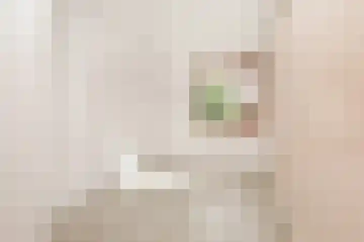 Willem Kolffplantsoen 17 Haarlem thumbnail 22