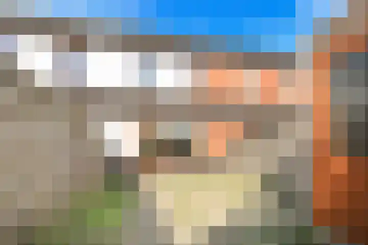 Willem Kolffplantsoen 3 Haarlem thumbnail 12