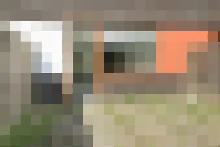 Willem Kolffplantsoen 3 Haarlem thumbnail 14