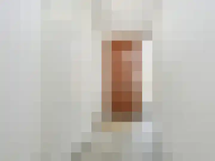 Willem Kolffplantsoen 3 Haarlem thumbnail 16