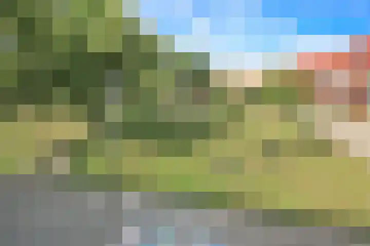 Willem Kolffplantsoen 3 Haarlem thumbnail 25