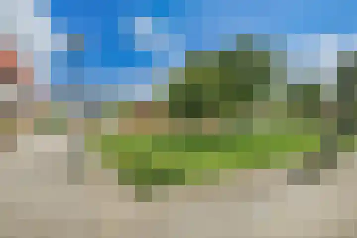 Willem Kolffplantsoen 3 Haarlem thumbnail 27