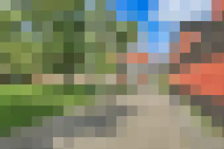 Willem Kolffplantsoen 3 Haarlem thumbnail 28