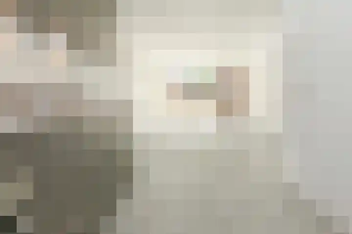 Willem Kolffplantsoen 3 Haarlem thumbnail 6
