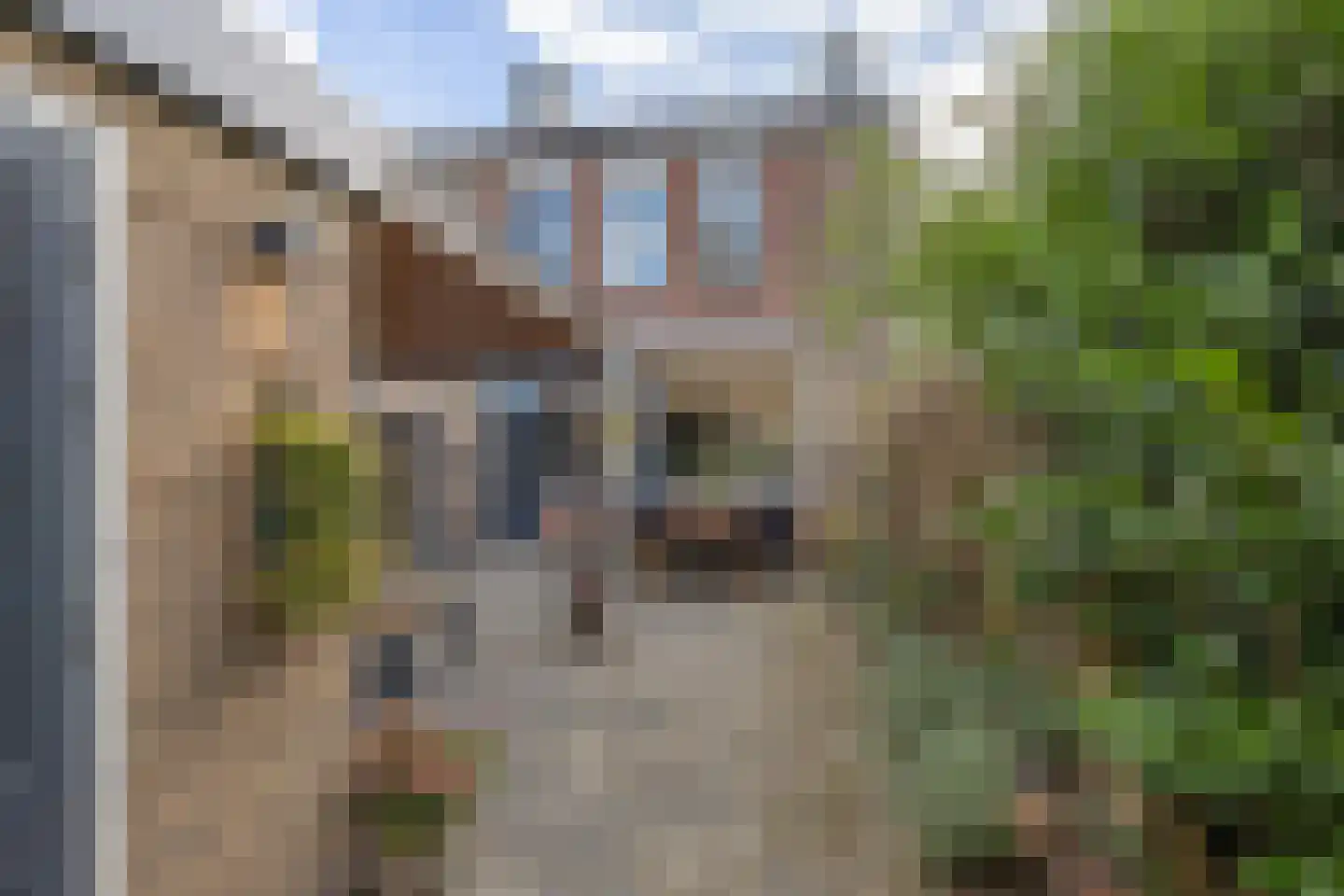 Willem Koopsweg 33 de Wijk thumbnail 35