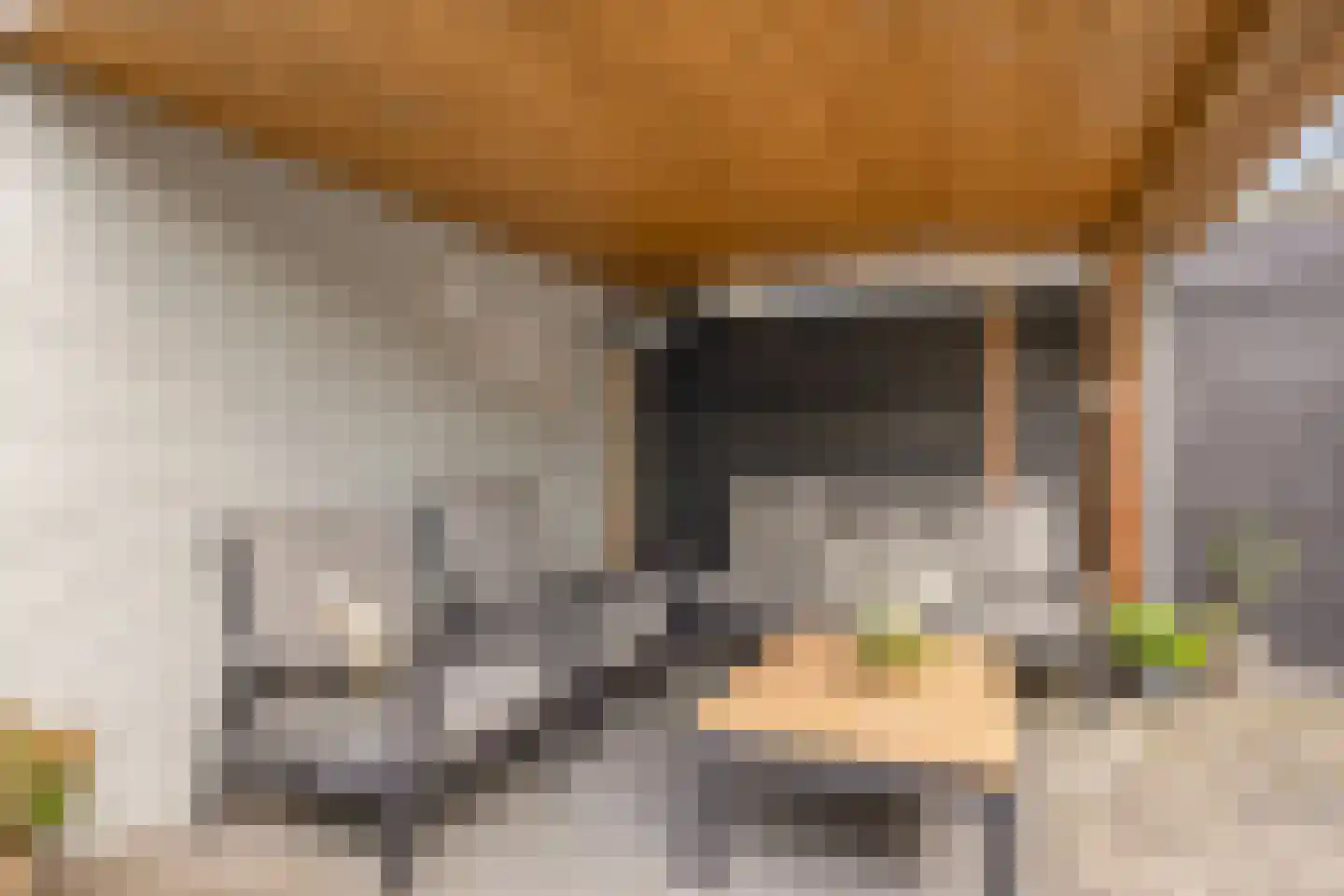Willem Koopsweg 33 de Wijk thumbnail 5