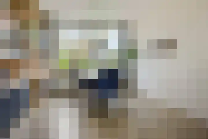Willem Koopsweg 7 de Wijk thumbnail 10
