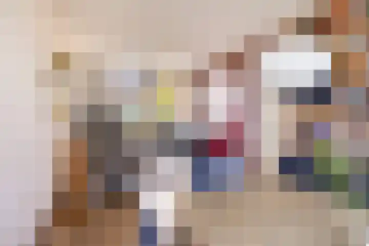 Willem Koopsweg 7 de Wijk thumbnail 11