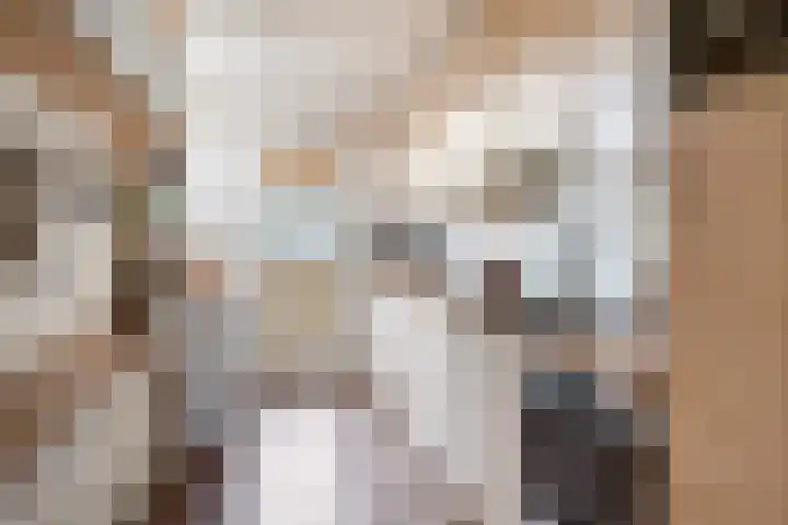Willem Koopsweg 7 de Wijk thumbnail 12