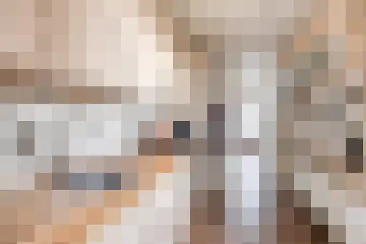 Willem Koopsweg 7 de Wijk thumbnail 13