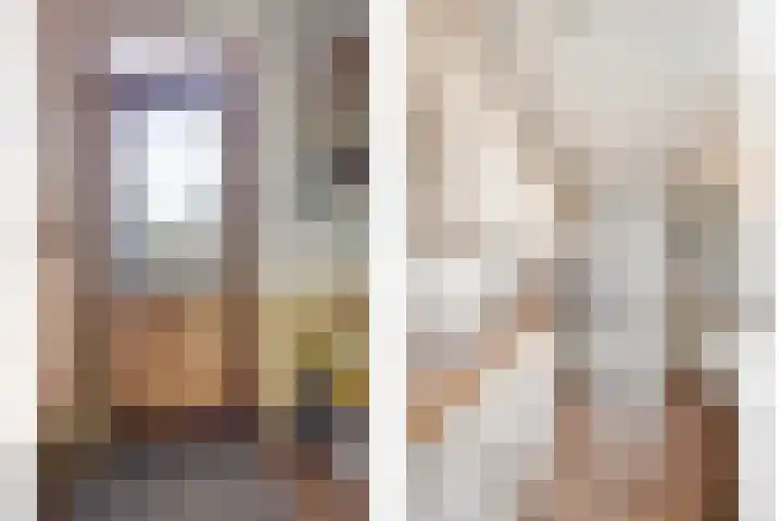 Willem Koopsweg 7 de Wijk thumbnail 14