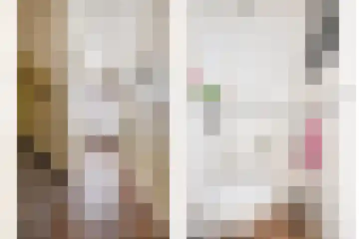 Willem Koopsweg 7 de Wijk thumbnail 15
