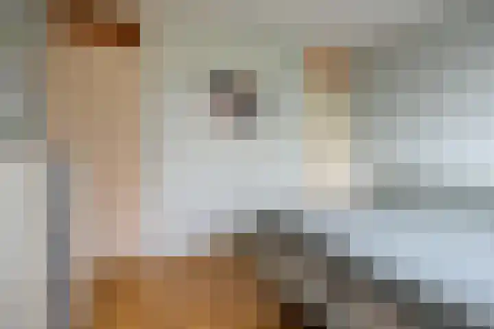 Willem Koopsweg 7 de Wijk thumbnail 18