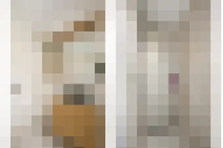 Willem Koopsweg 7 de Wijk thumbnail 20