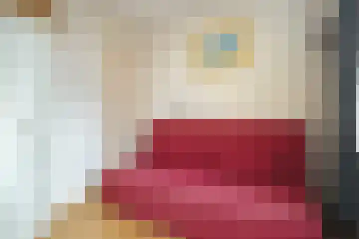 Willem Koopsweg 7 de Wijk thumbnail 22