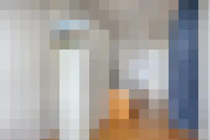Willem Koopsweg 7 de Wijk thumbnail 24