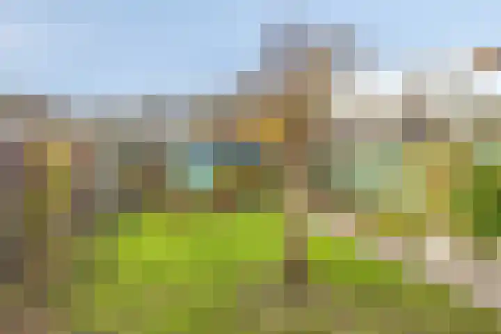 Willem Koopsweg 7 de Wijk thumbnail 25