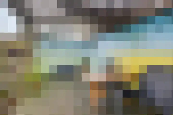 Willem Koopsweg 7 de Wijk thumbnail 27