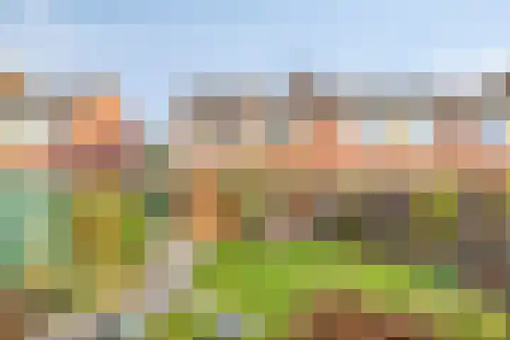 Willem Koopsweg 7 de Wijk thumbnail 28