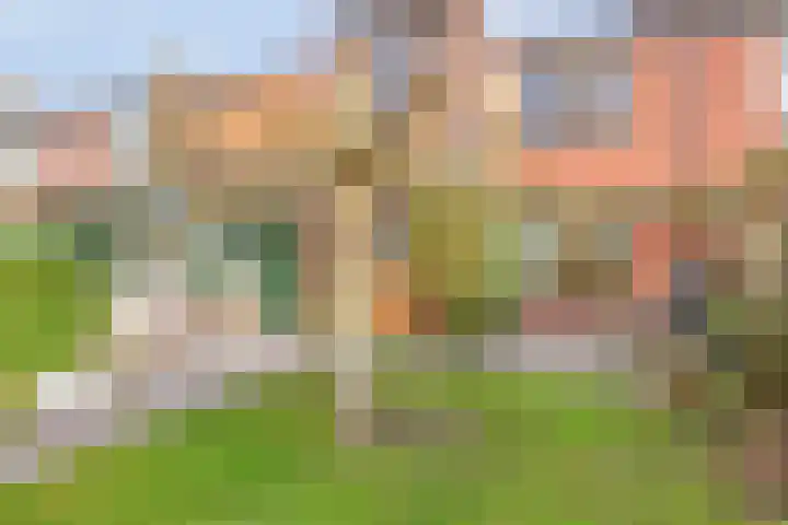 Willem Koopsweg 7 de Wijk thumbnail 29