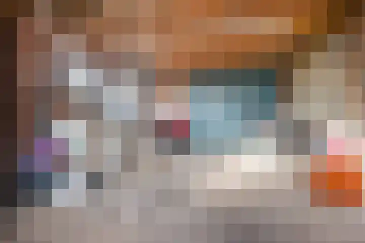 Willem Koopsweg 7 de Wijk thumbnail 31