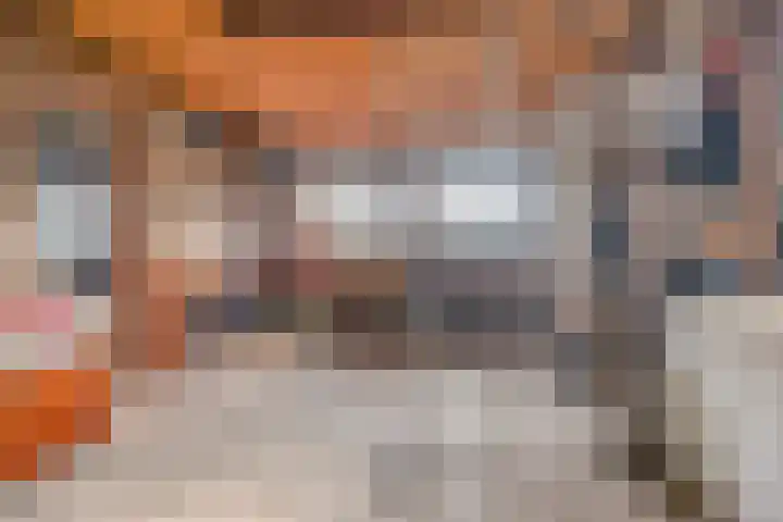 Willem Koopsweg 7 de Wijk thumbnail 32