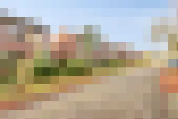 Willem Koopsweg 7 de Wijk thumbnail 34