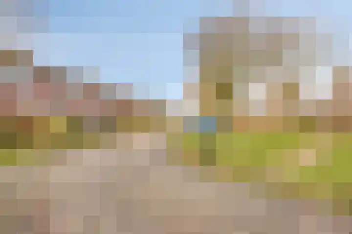 Willem Koopsweg 7 de Wijk thumbnail 36