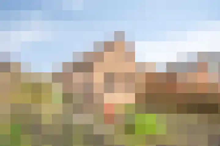 Willem Koopsweg 7 de Wijk thumbnail 37