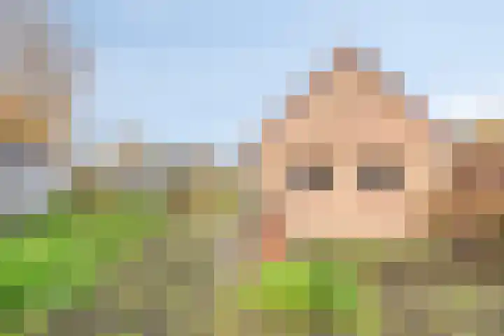Willem Koopsweg 7 de Wijk thumbnail 38