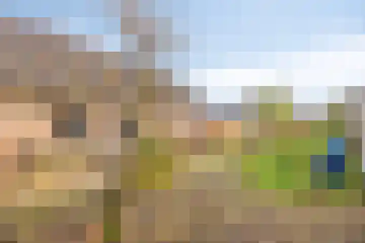 Willem Koopsweg 7 de Wijk thumbnail 39