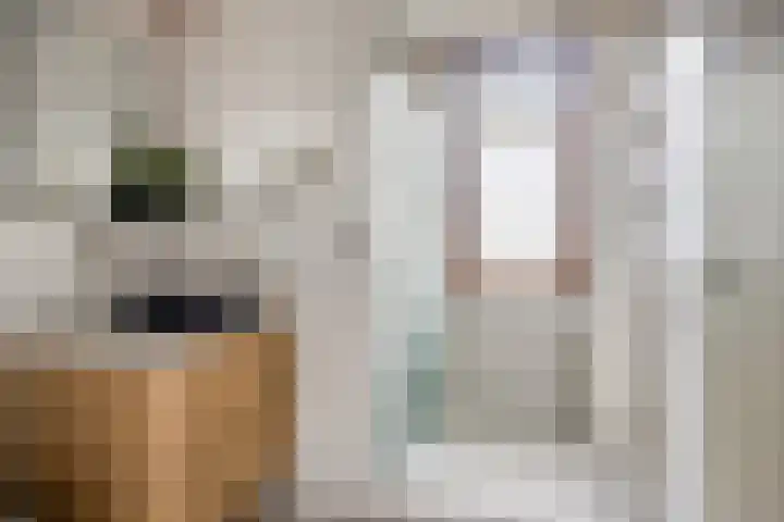 Willem Koopsweg 7 de Wijk thumbnail 4